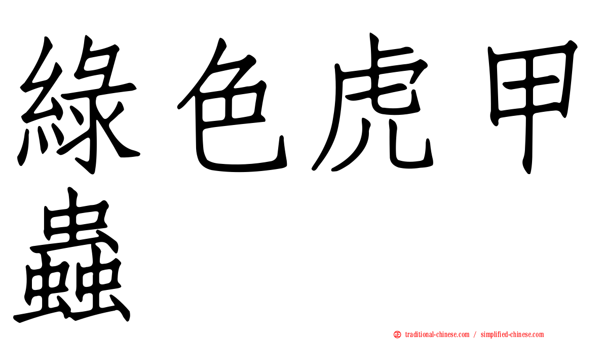綠色虎甲蟲