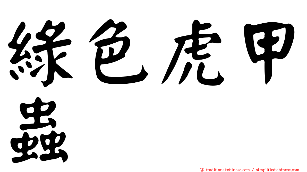 綠色虎甲蟲