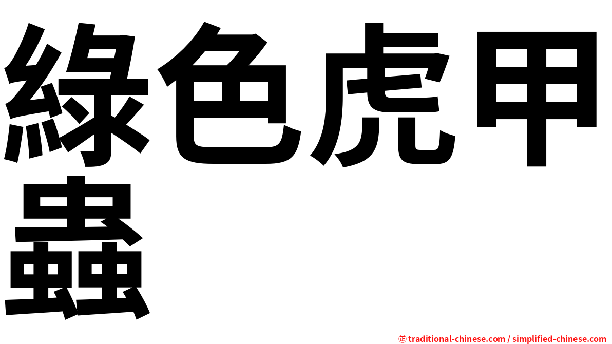 綠色虎甲蟲