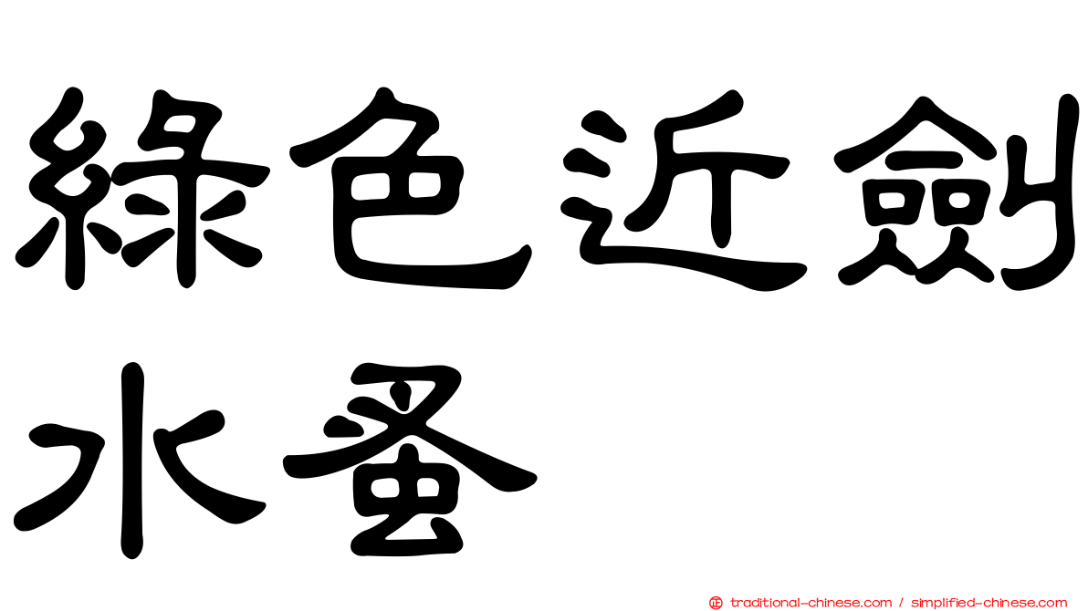 綠色近劍水蚤