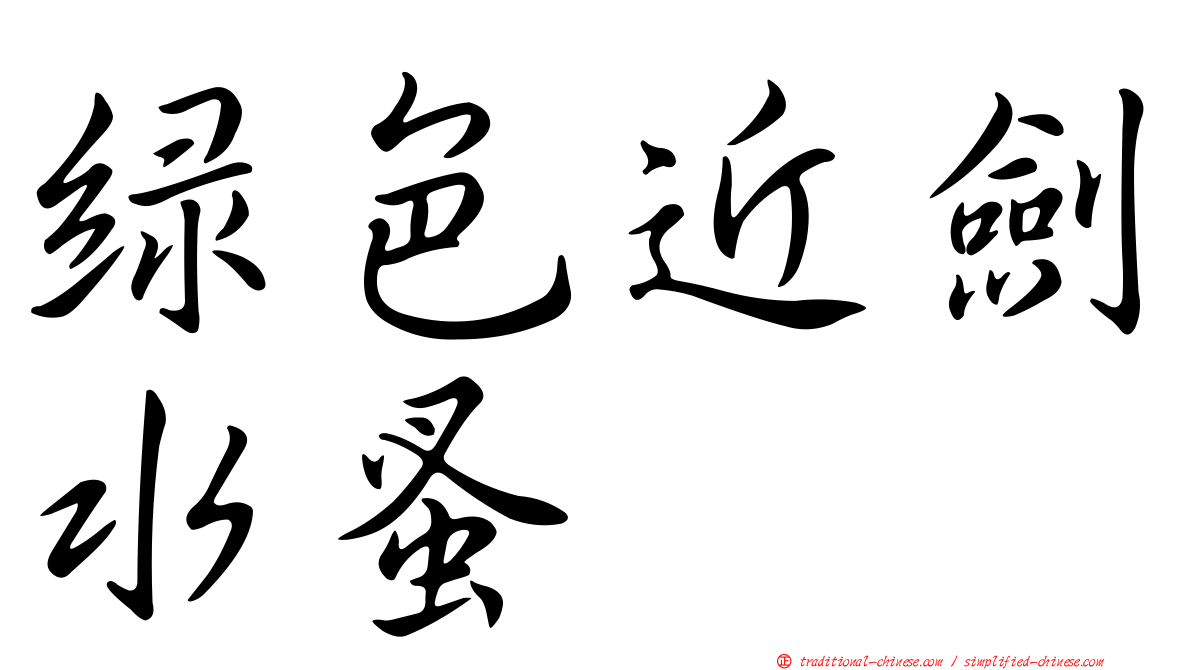 綠色近劍水蚤