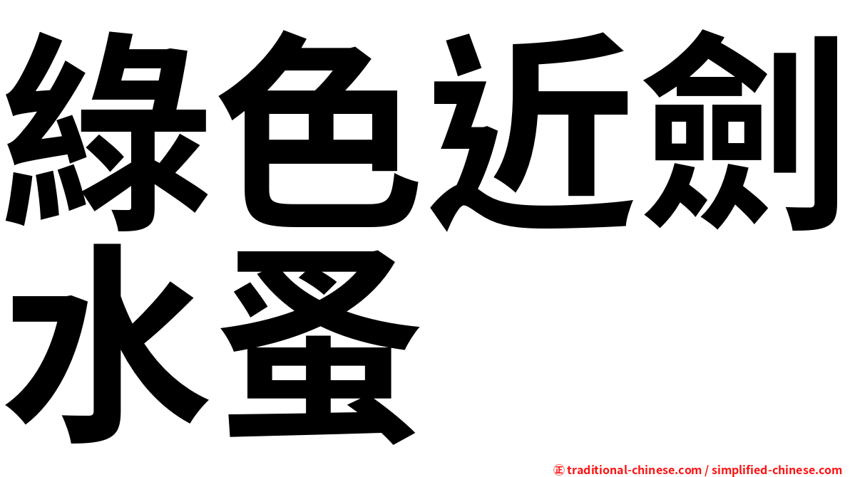 綠色近劍水蚤