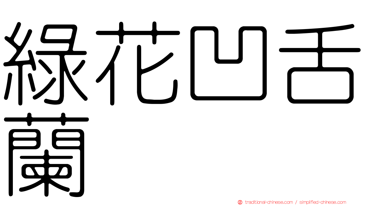 綠花凹舌蘭
