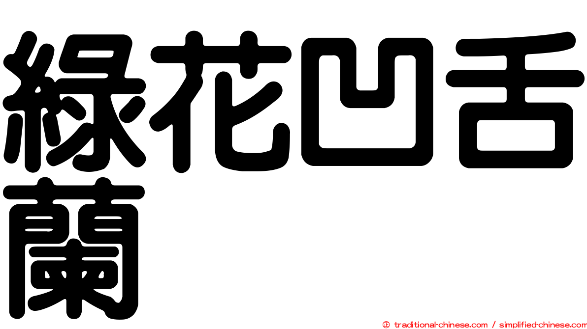 綠花凹舌蘭