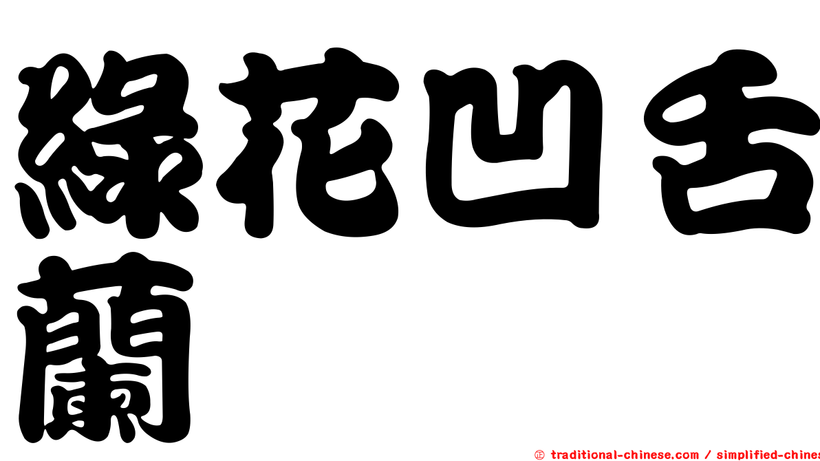 綠花凹舌蘭