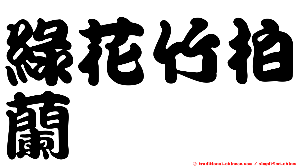 綠花竹柏蘭