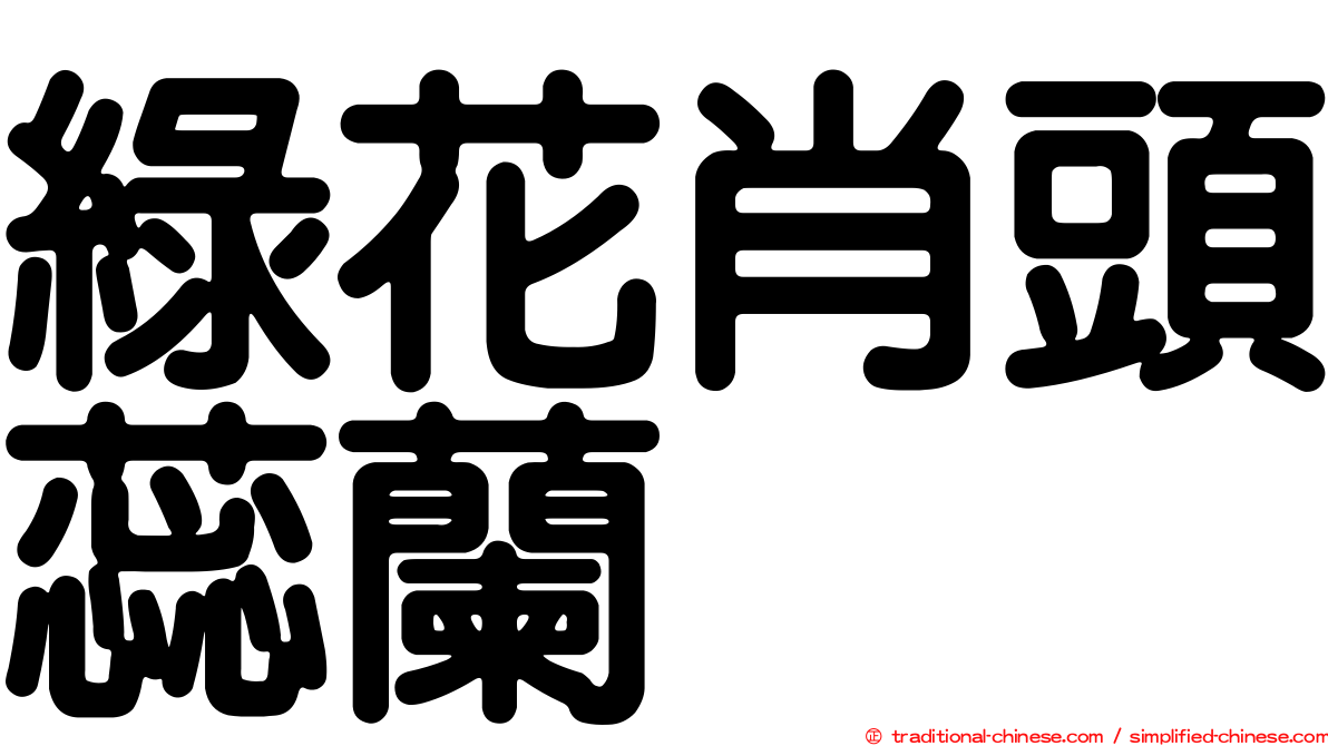 綠花肖頭蕊蘭