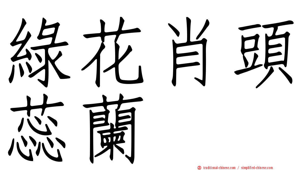 綠花肖頭蕊蘭