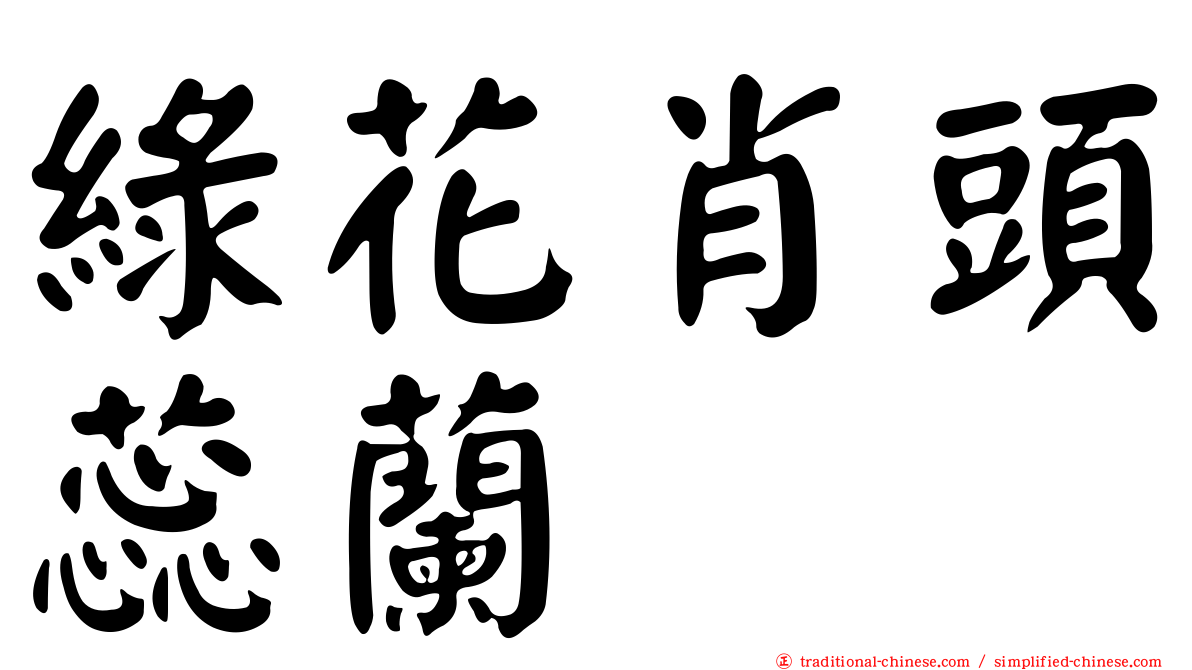 綠花肖頭蕊蘭