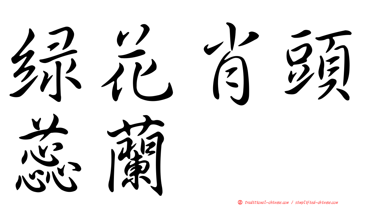 綠花肖頭蕊蘭