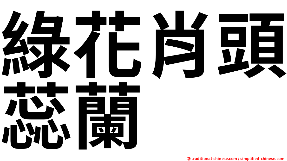 綠花肖頭蕊蘭