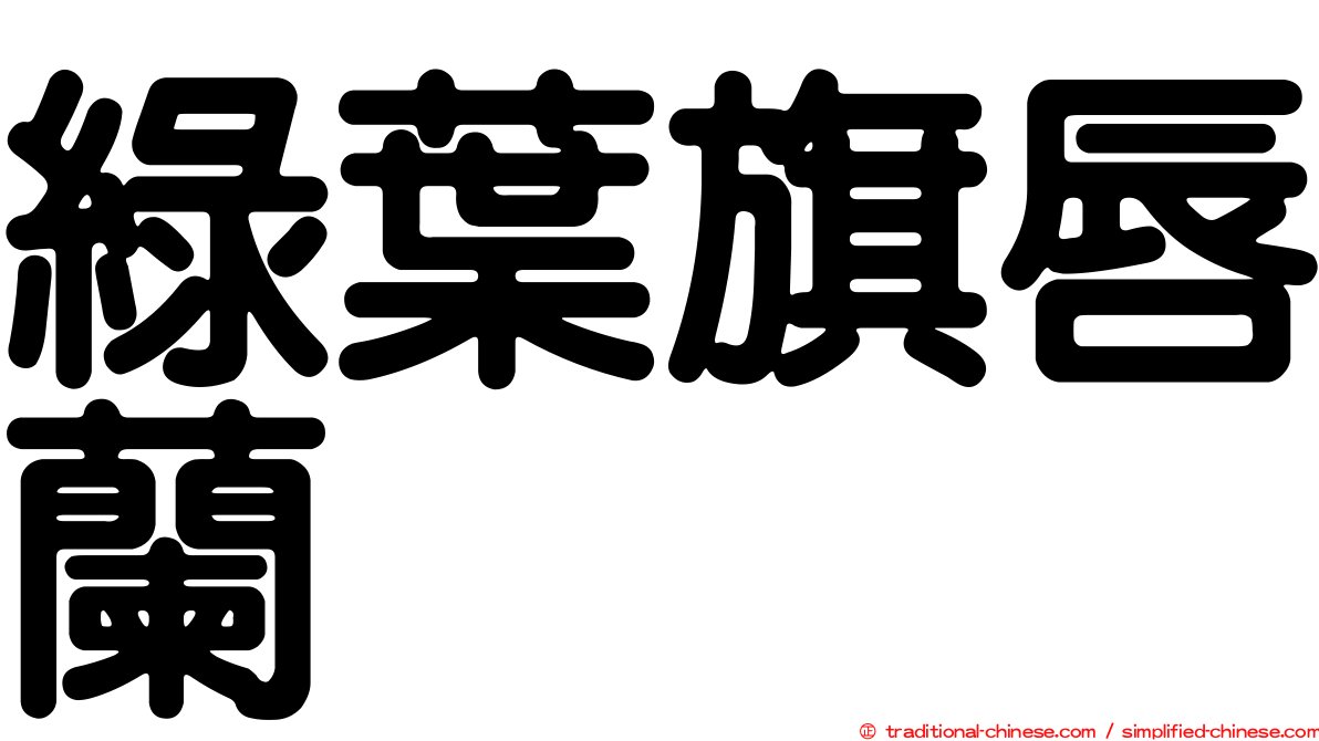 綠葉旗唇蘭