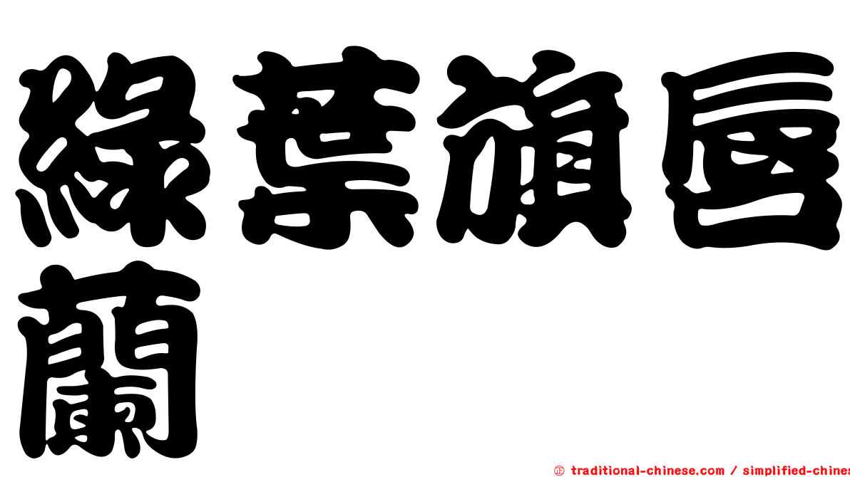 綠葉旗唇蘭