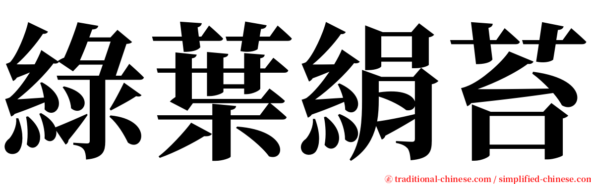 綠葉絹苔 serif font