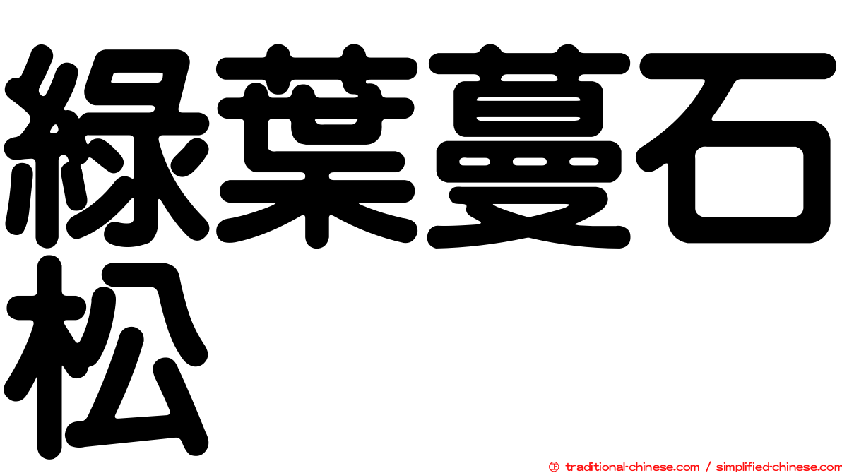 綠葉蔓石松