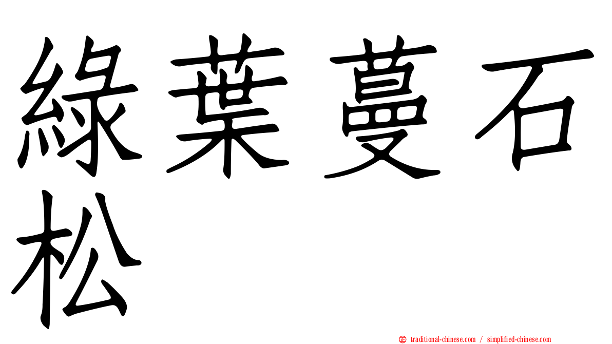 綠葉蔓石松