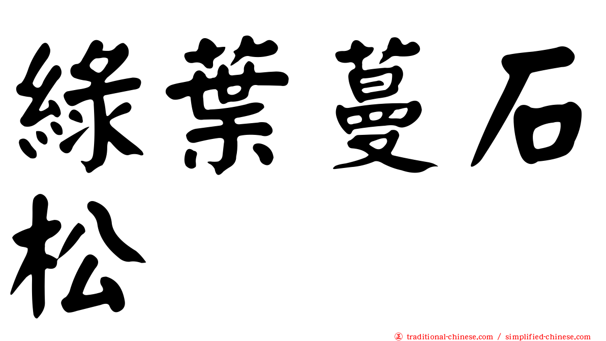 綠葉蔓石松