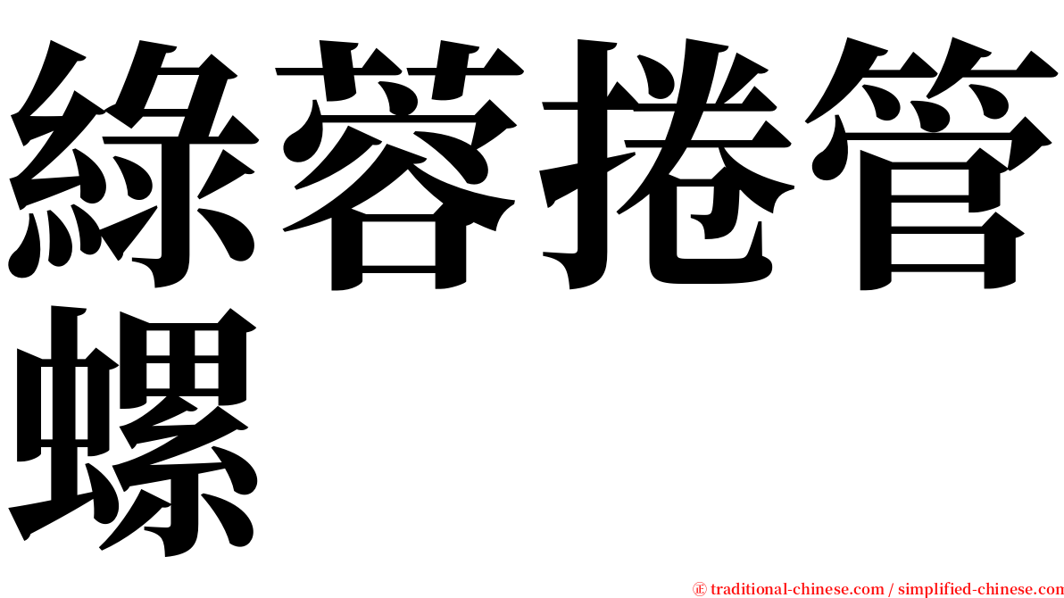 綠蓉捲管螺 serif font