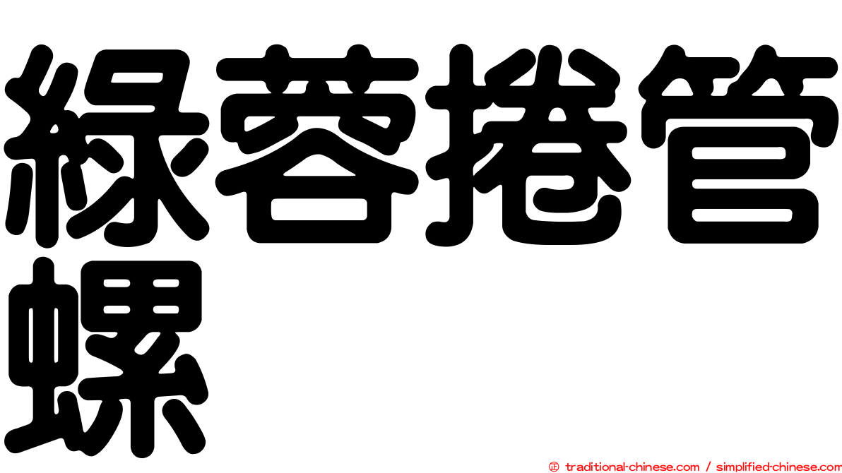 綠蓉捲管螺