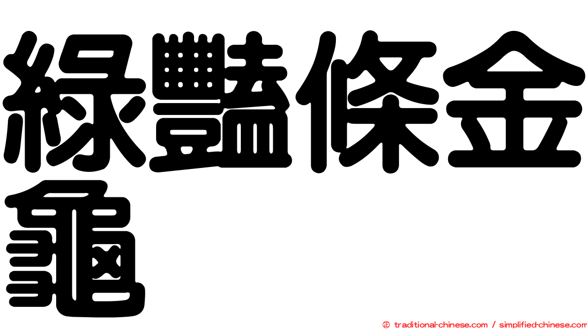 綠豔條金龜