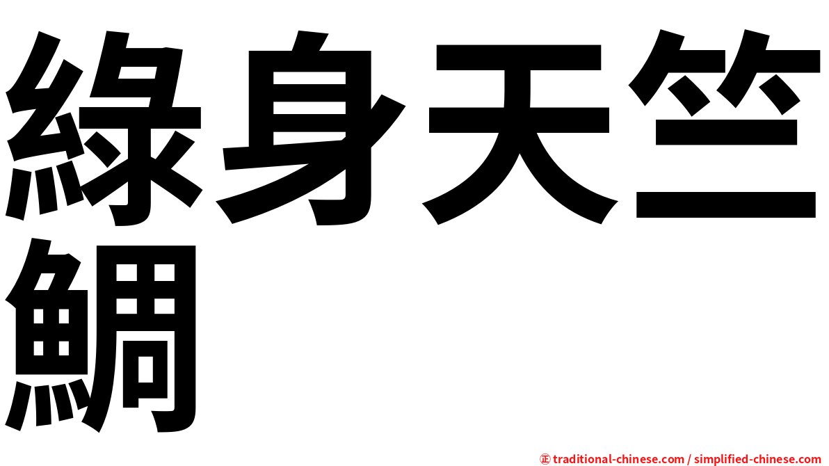 綠身天竺鯛