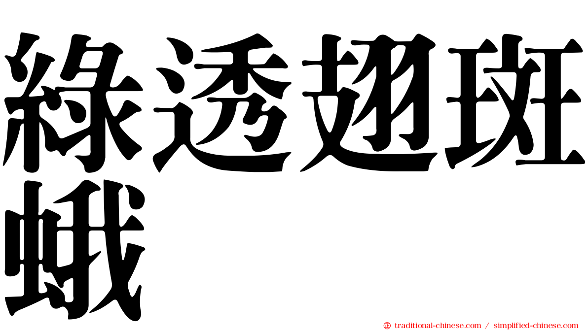 綠透翅斑蛾