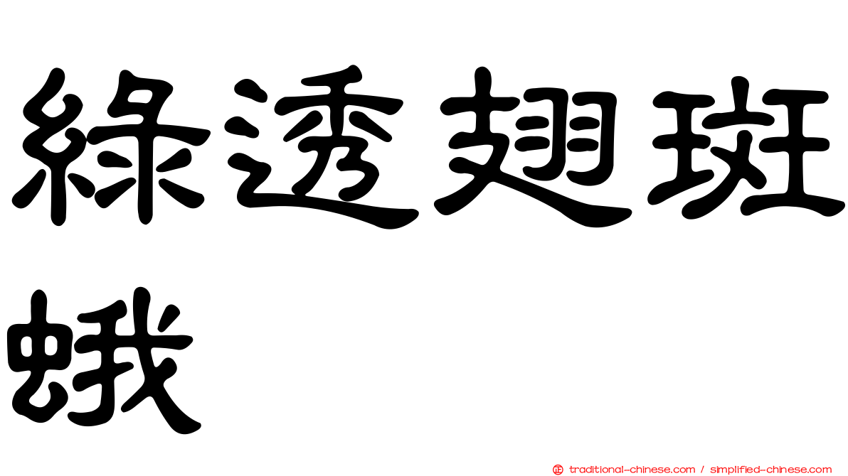 綠透翅斑蛾