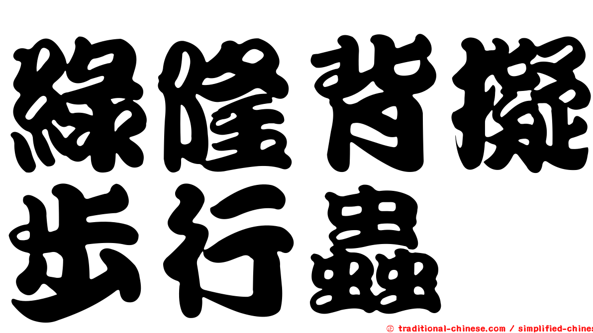 綠隆背擬步行蟲