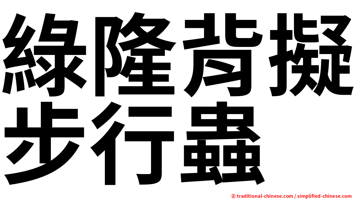 綠隆背擬步行蟲