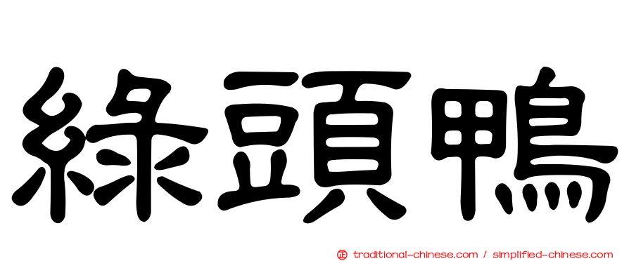 綠頭鴨