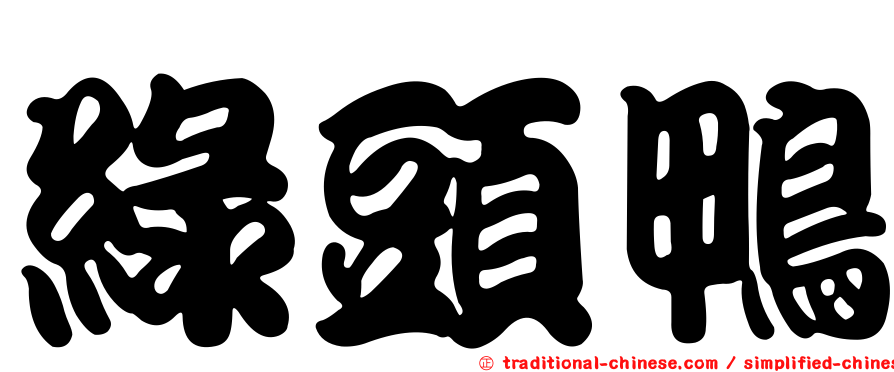 綠頭鴨