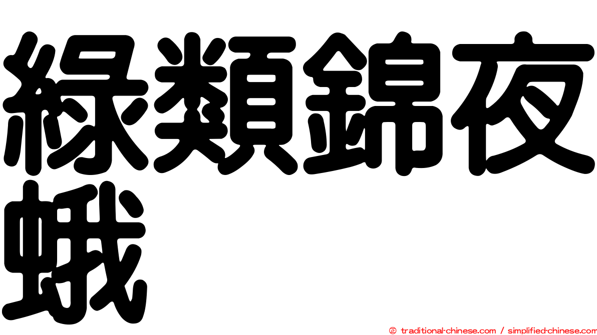 綠類錦夜蛾