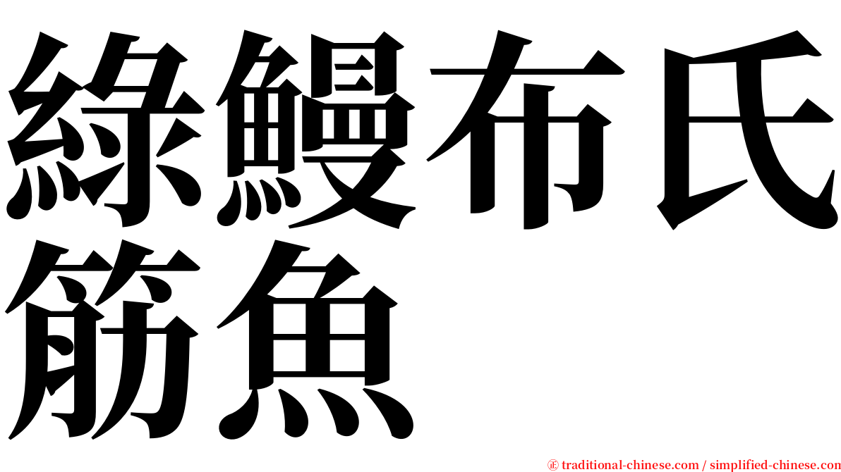 綠鰻布氏筋魚 serif font