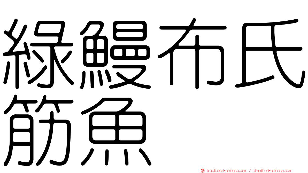 綠鰻布氏筋魚