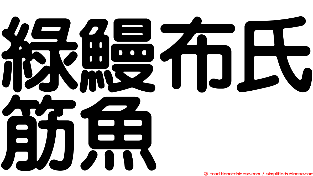 綠鰻布氏筋魚