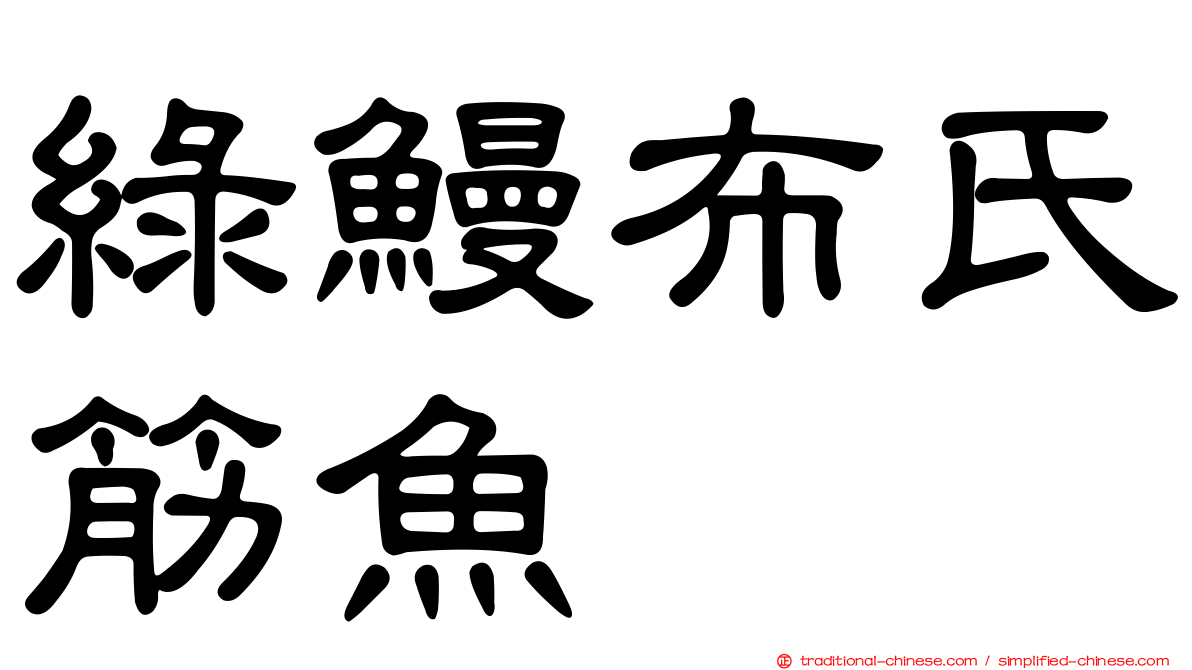 綠鰻布氏筋魚