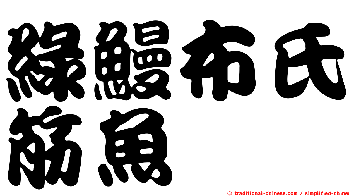 綠鰻布氏筋魚