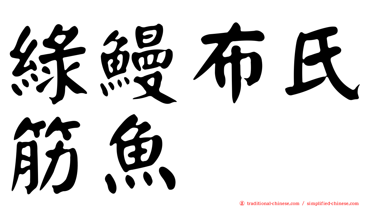 綠鰻布氏筋魚