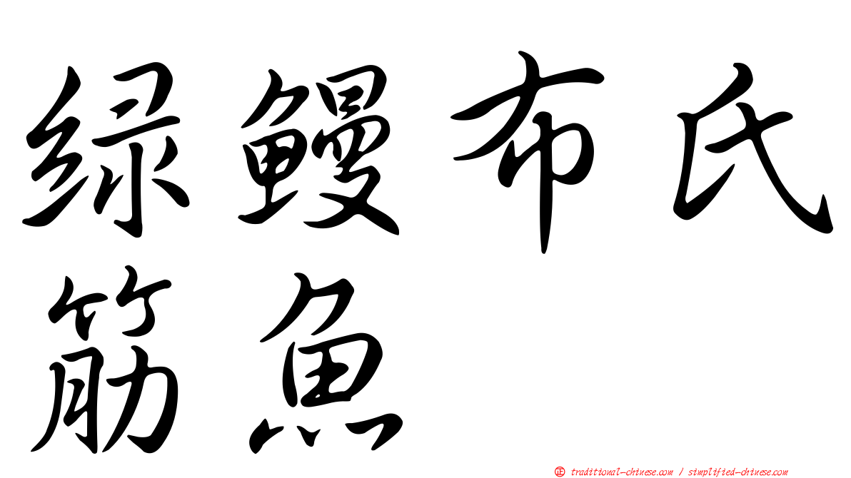 綠鰻布氏筋魚