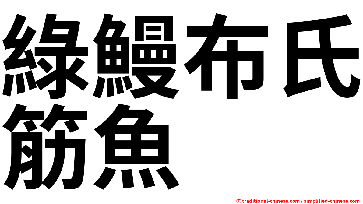 綠鰻布氏筋魚