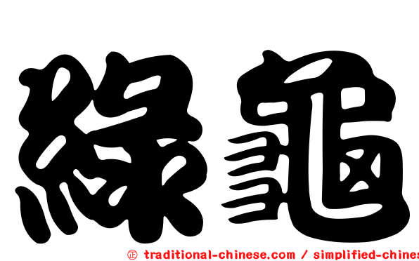 綠龜