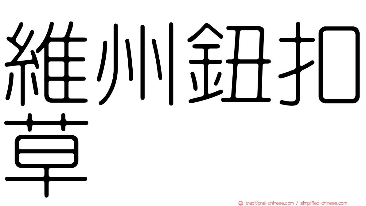 維州鈕扣草