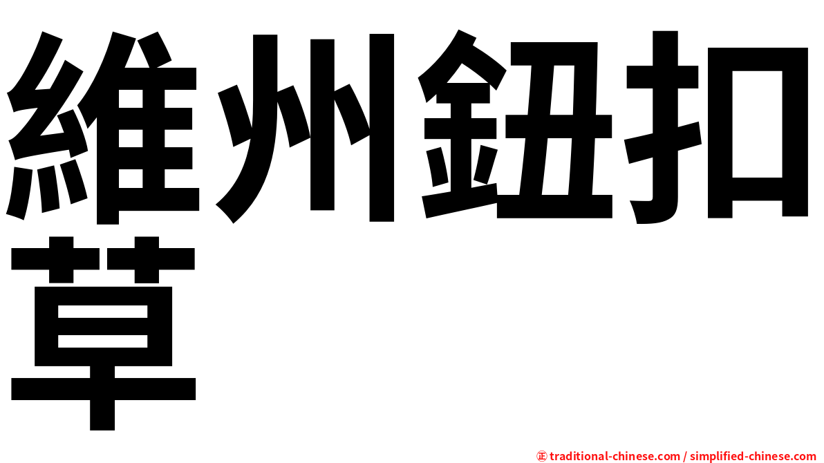 維州鈕扣草