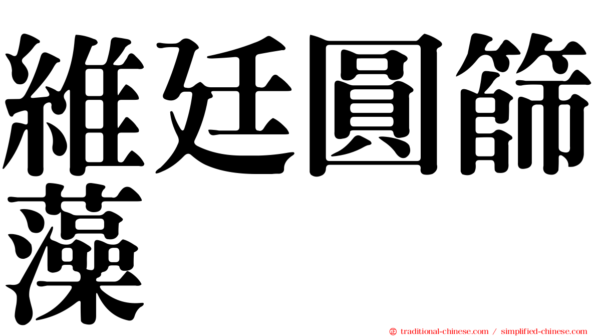 維廷圓篩藻