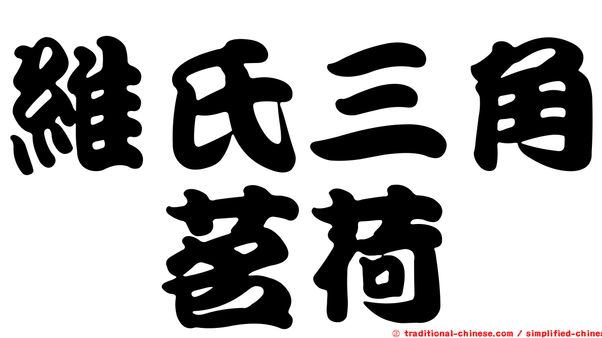 維氏三角鎧茗荷