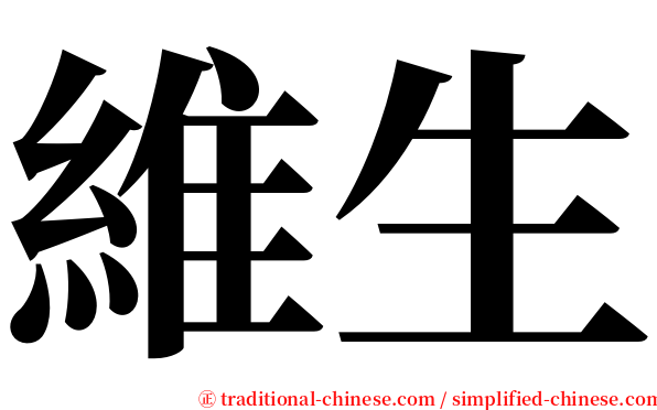 維生 serif font