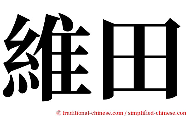維田 serif font