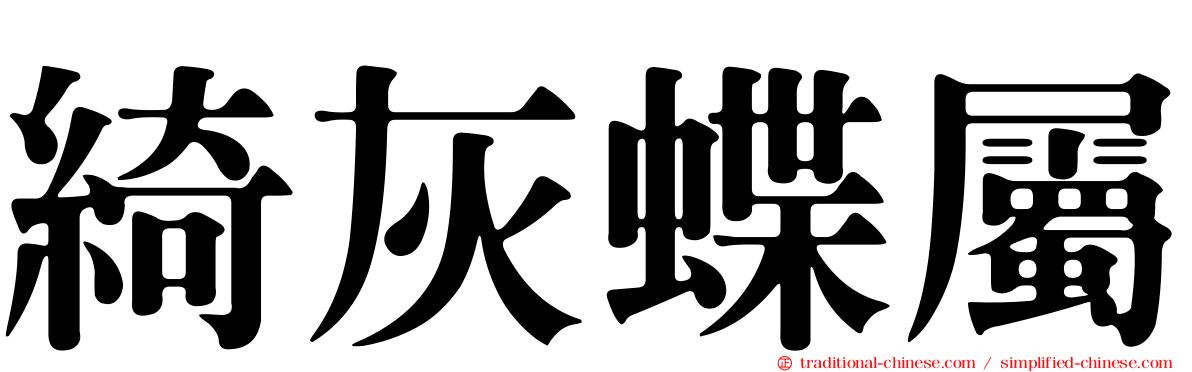 綺灰蝶屬