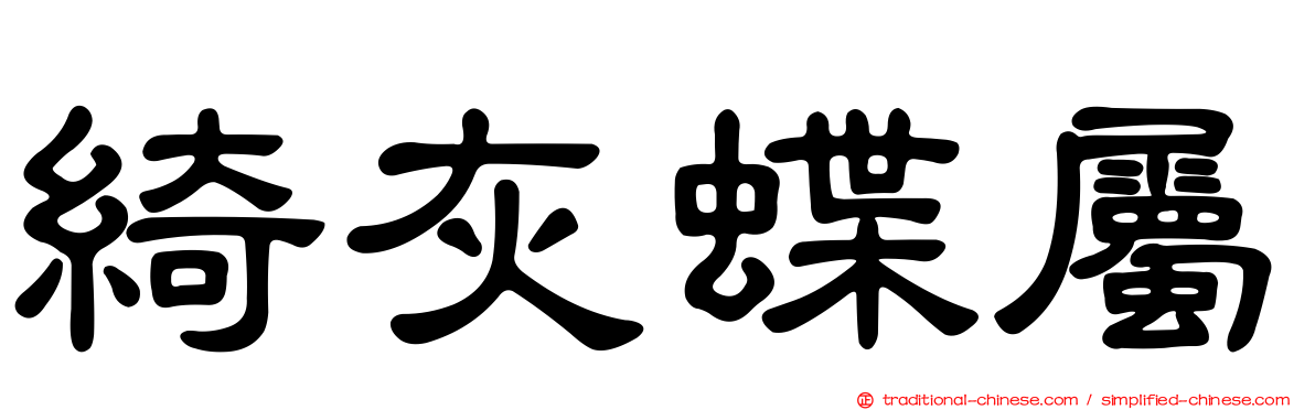 綺灰蝶屬