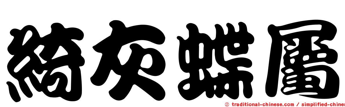 綺灰蝶屬